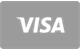 Visa metodo di pagamento accettato
